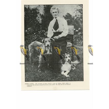 Nurse Edith Cavell, 1915, Book Illustration (Print) 1935