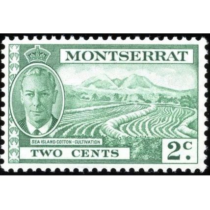 Montserrat KGVI 1951 2c Green Mounted Mint MM SG 124 Sc 115 Sea Island Cotton