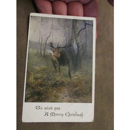 Early Christmas Greeting Postcard - Stag Deer - Nature interest
