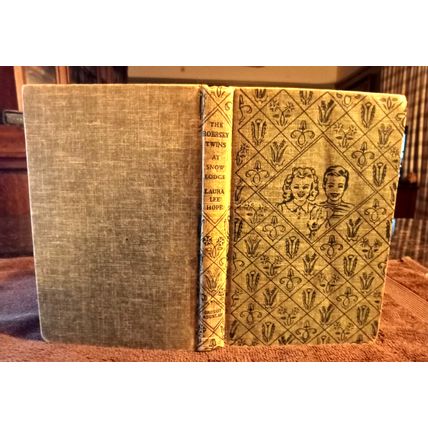 The Bobbsey Twins At Snow Lodge 1960 By Laura Lee Hope Great Shape