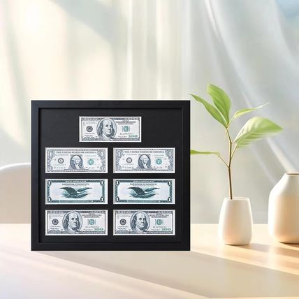 Multi-Dollar Picture Frame,Dollar Bill Frame,Dollar Bill Holder,14X15 Frame for