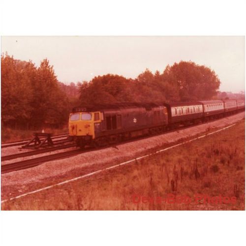 Railway Photo BR Class 50 50043 WOOTTON BASSET 1975 Diesel Loco
