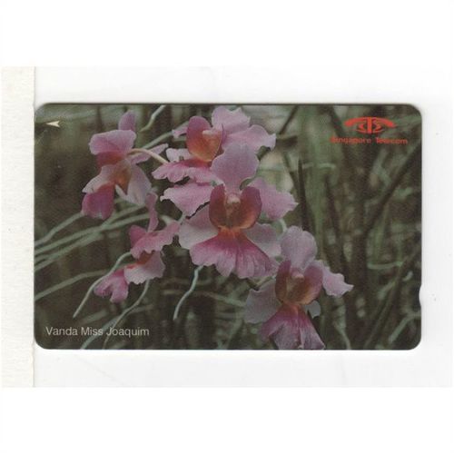 PHONE CARD - SINGAPORE - VANDA MISS JOAQUIM
