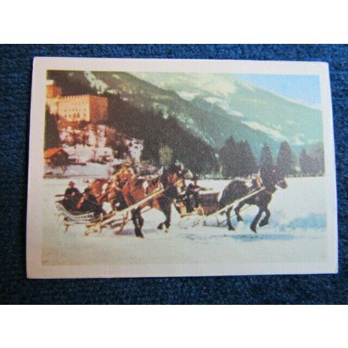 Unusual Sports 1968 ~ Jacques Chocolates Belgium Sports Sticker Variants (e9)