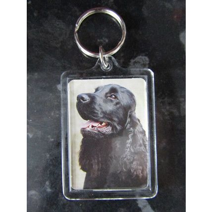 DOG BREED KEY RINGS QUALITY ACRYLIC DOUBLE SIDED PHOTO KEY RINGS 33 BREEDS
