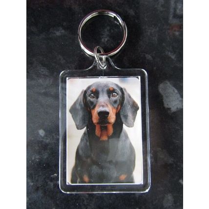 DOG BREED KEY RINGS QUALITY ACRYLIC DOUBLE SIDED PHOTO KEY RINGS 33 BREEDS