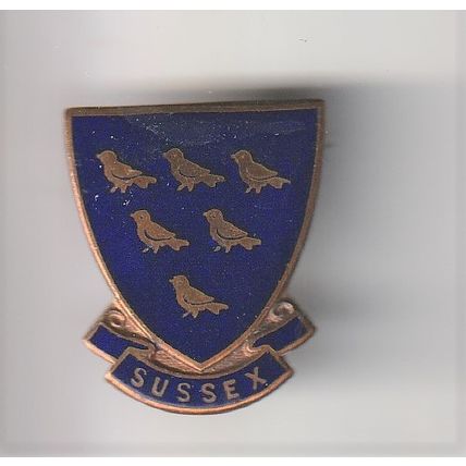 Girl Guide Metal Pin Badge UK - Sussex - Used (BZ46)
