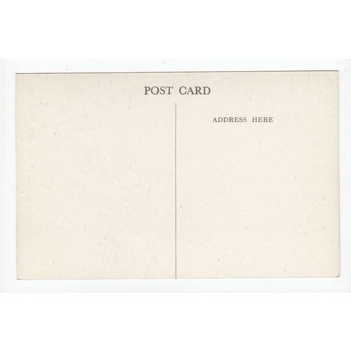View from the SE of Arundel Castle Postcard West Sussex