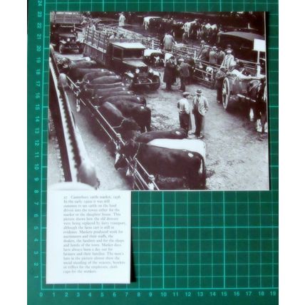 (6098) Canterbury Cattle Market - Cutting