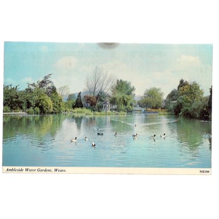AMBLESIDE WATER GARDENS, WEARE, SOMERSET used postcard. 1972 postmark =