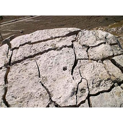 Expansive Demolition Grout 11 Lb. Bucket for Rock Breaking, Concrete Cutting, Ex