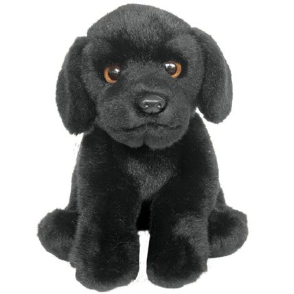 Black Labrador 12" toy dog, as it is or personalised, gift wrapped, 3 options