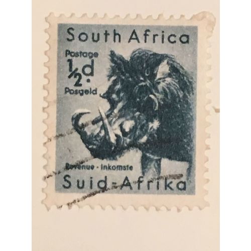 South Africa 1954 ½d Deep Blue Green Used SG 151 Sc 200 postage stamp Warthog