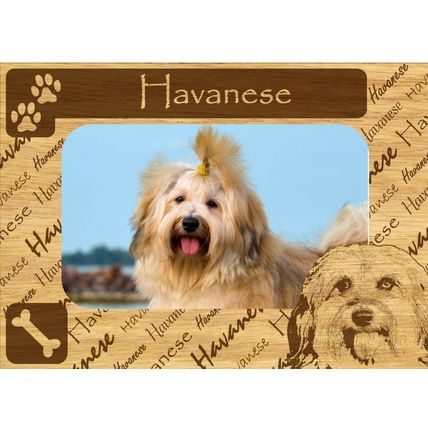 Havanese w Paws Engraved Wood Picture Frame Magnet