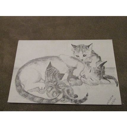1970s Pencil Sketch Postcard - Kittens with Mother / Cats - Victoria Leigh