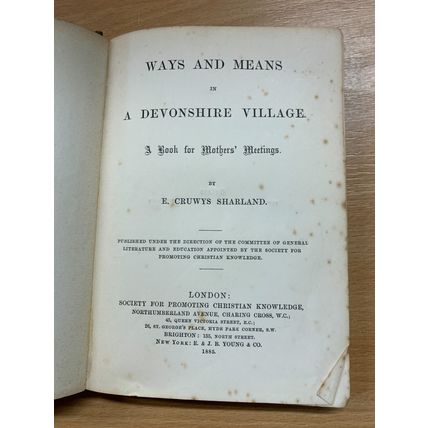 1885 WAYS AND MEANS IN A DEVONSHIRE VILLAGE CRUWYS SHARLAND FICTION HB BOOK (P2)