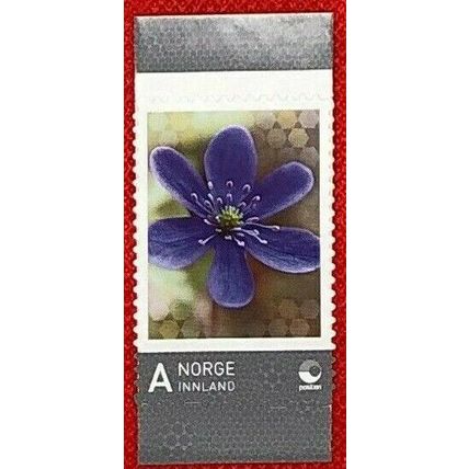ZAYIX - Norway / Norge - Domestic Rate - Beautiful Purple Flower - MNH