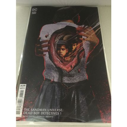2023 DC Comics The Sandman Universe Dead Boy Detectives Alex Eckman-Lawn Variant