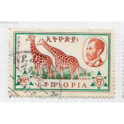 ETHIOPIA 1961 FAUNA ANIMALS GIRAFFES 35c USED