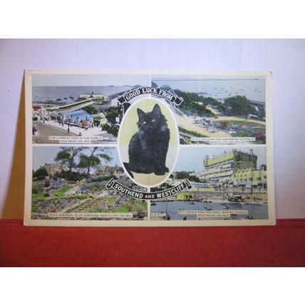 multiview, SOUTHEND and WESTCLIFF, ESSEX. unused vintage postcard 1950s =