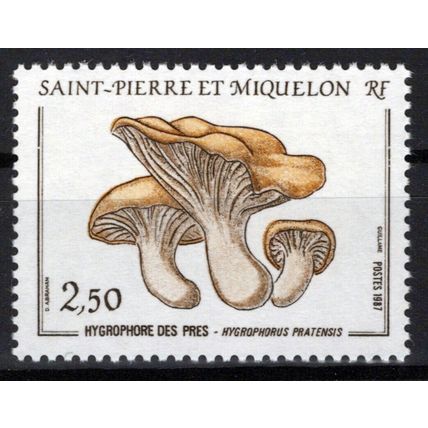 St. Pierre & Miquelon 487 MNH Fungi Mushrooms Plants Nature ZAYIX 0524S0160
