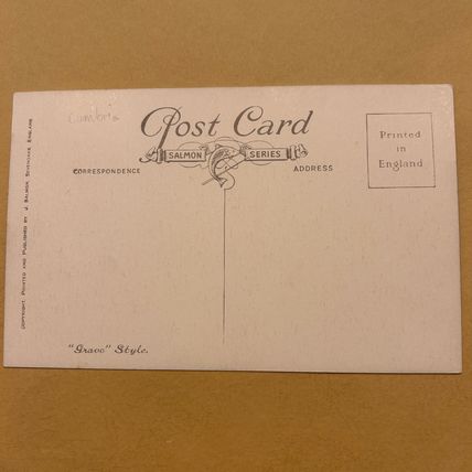 Bowness Bay from Biskey Howe Cumbria Salmon Gravco Bownepostcard 6706 UNUSED VGC
