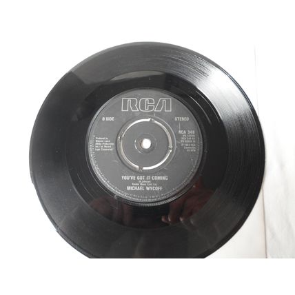 7" 1983 . MICHAEL WYCOFF. (DO YOU REALLY LOVE ME) TELL ME LOVE.RCA 348.N MINT