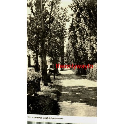 Old Hall Lane, Penrhyn Bay, Wales, P/PHBY 65 RP Postcard
