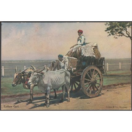 Cotton Cart, Bombay, c.1905 - Clifton & Co Postcard