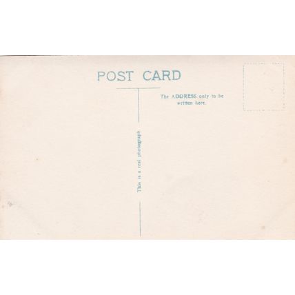 ED 390 LINCOLN CATHEDRAL. RP POSTCARD