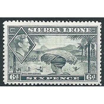 Sierra Leone 1938 SG195 6d Grey Mounted Mint ....
