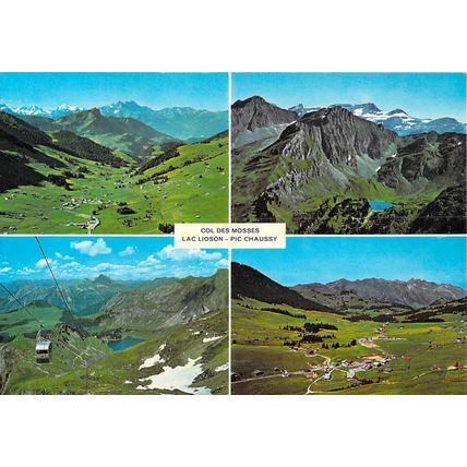 Col Des Mosses France postcard unused VGC