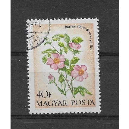 Hungary.SG2820 40fi Rosa Gallica.Fine Used.Oct22