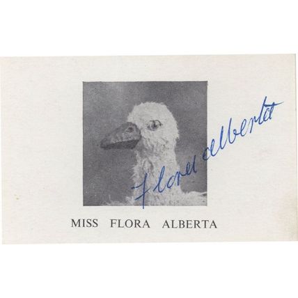 Miss Flora Alberta Antique Music Hall Singer Actress Hand Signed Photo