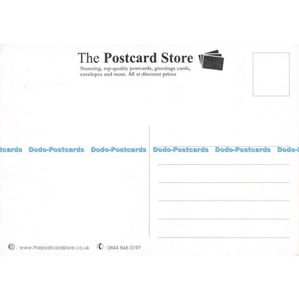 D028592 The Postcard Store. Stunning top quality postcards greetings cards envel