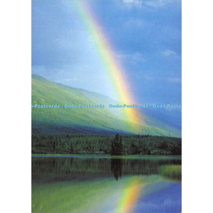 D028592 The Postcard Store. Stunning top quality postcards greetings cards envel