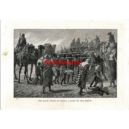 Slave Trade In Africa, A Gang On The March, Book Illustration (Print), 1903