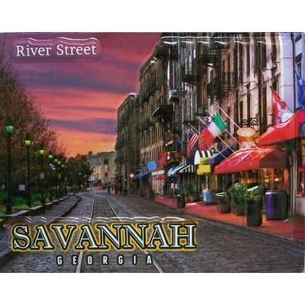 Savannah Georgia River Street Fridge Magnet