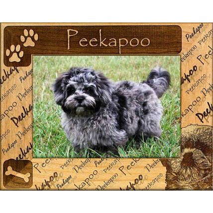 Peekapoo Laser Engraved Wood Picture Frame (4 x 6)