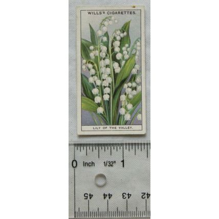 1933 Wills Garden Flowers No. 28 Lily of the Valley