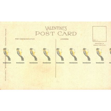 Princes Street Looking West, Edinburgh, Valentines Bromotone Postcard, 1930