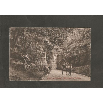Postcard Sussex East Grinstead Blackwell Hollow 1908