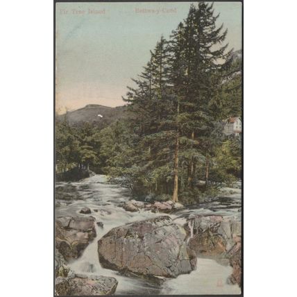 Fir Tree Island, Bettws-y-Coed, Caernarvonshire, 1904 - Milton Postcard