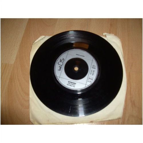 david cassidy, daydreamer / the puppy dog song. 1973 7". bell 1334
