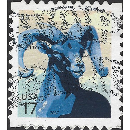 USA, MAMMAL, Bighorn sheep, Ovis canadensis, blue 2007, 17c, #2