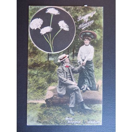 Trichromatic by J Welch, Daisy Innocence, Novelty Vintage Postcard