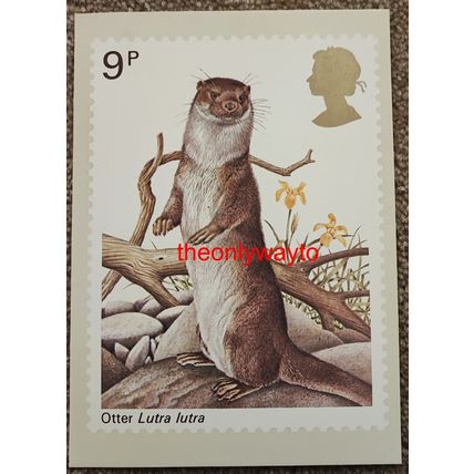 Otter (Lutra Lutra), 9p Post Office Postcard PHQ 25 (d), 1977