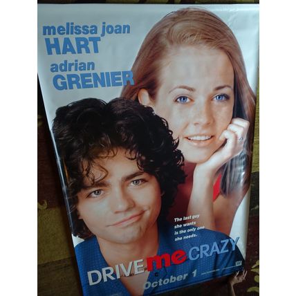 DRIVE ME CRAZY - MOVIE BANNER WITH MELISSA JOAN HART AND ADRIAN GRENIER-VINYL
