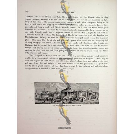 Brown Free Library & Museum, Liverpool, England, Book Illustration (Print), 1882