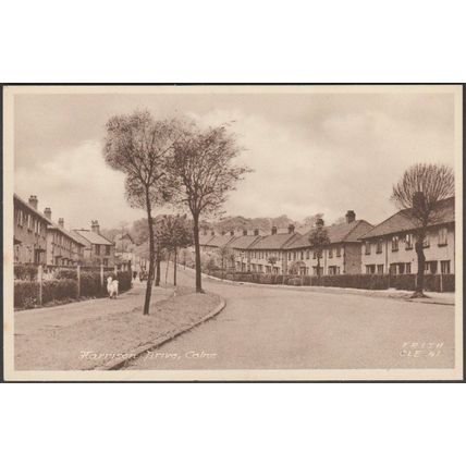 Harrison Drive, Colne, Lancashire, c.1955 - Frith's Postcard